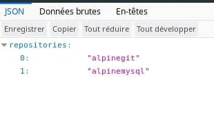 Visite du catalogue Docker registry privé avec du HTTPS depuis la navigateur Firefox