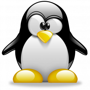 photo de profil de hamza89 