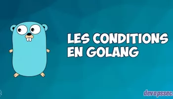 image de l'article Les conditions dans le langage de programmation Go