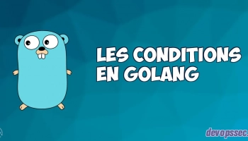 image de l'article Les conditions dans le langage de programmation Go