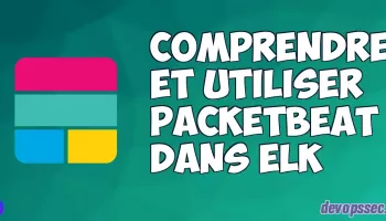 image de l'article Comprendre et utiliser Packetbeat dans la stack ELK