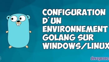 image de l'article Guide pour configurer de votre environnement GoLang