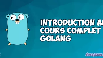 Introduction du cours pour apprendre le langage programmation GO