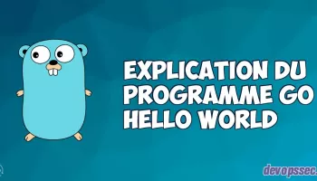 image de l'article Explication pas à pas du programme GO hello world