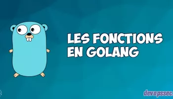 image de l'article Les fonctions dans le langage de programmation Go