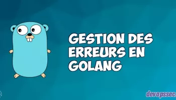image de l'article Gestion des erreurs dans le langage de programmation Go