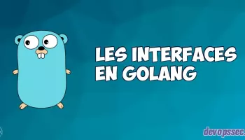 image de l'article Les Interfaces dans le langage de programmation Go