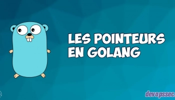image de l'article Les pointeurs dans le langage de programmation Go
