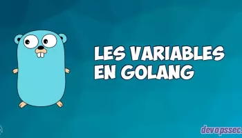 image de l'article Les variables dans le langage de programmation Go