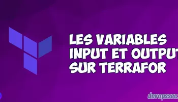 Les variables Input et Output